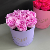 8 Eternity Rose-Last 3 Years