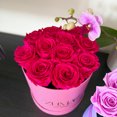 11 Eternity Rose-Last 3 Years