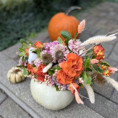 Pumpkin Patch Delight