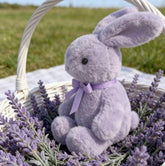 Purple Bunny