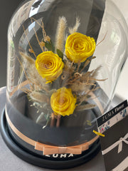 Preserved Roses Collection