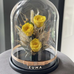 Preserved Roses Collection