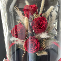 Preserved Roses Collection