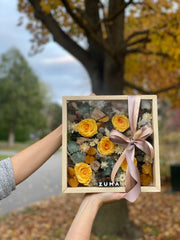 Fall Colors - Last 3 Years