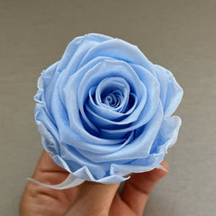 Orange Preserved Roses-Last 3 Years