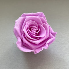 Orange Preserved Roses-Last 3 Years