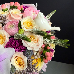 360° Orchid-Bird in Heaven