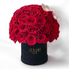 Premium Hot Roses