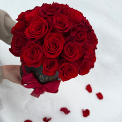 Premium Hot Roses