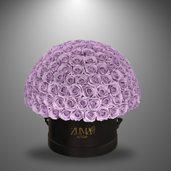 Bella Eternity Roses-Last 3 Years