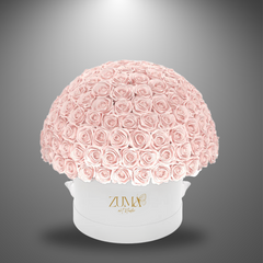 Bella Eternity Roses-Last 3 Years