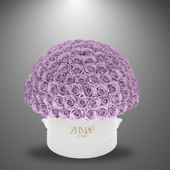 Bella Eternity Roses-Last 3 Years