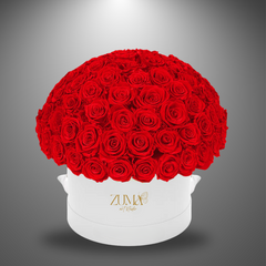 Bella Eternity Roses-Last 3 Years