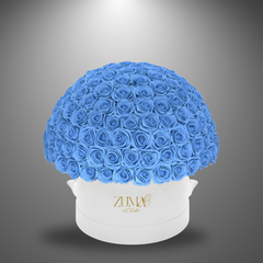 Bella Eternity Roses-Last 3 Years