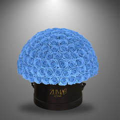 Bella Eternity Roses-Last 3 Years