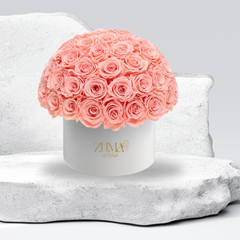 Sonic Eternal Roses-Last 3 Years