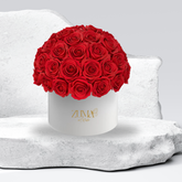 Sonic Eternal Roses-Last 3 Years