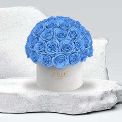 Sonic Eternal Roses-Last 3 Years