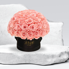 Sonic Eternal Roses-Last 3 Years