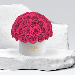 Sonic Eternal Roses-Last 3 Years