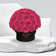 Sonic Eternal Roses-Last 3 Years