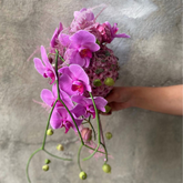 Orchid Fantasy Bouquet