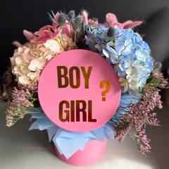 Bloom to Reveal