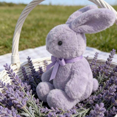 Purple Bunny