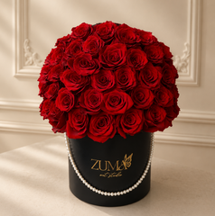Unveiled in Red