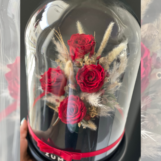 Preserved Roses Collection
