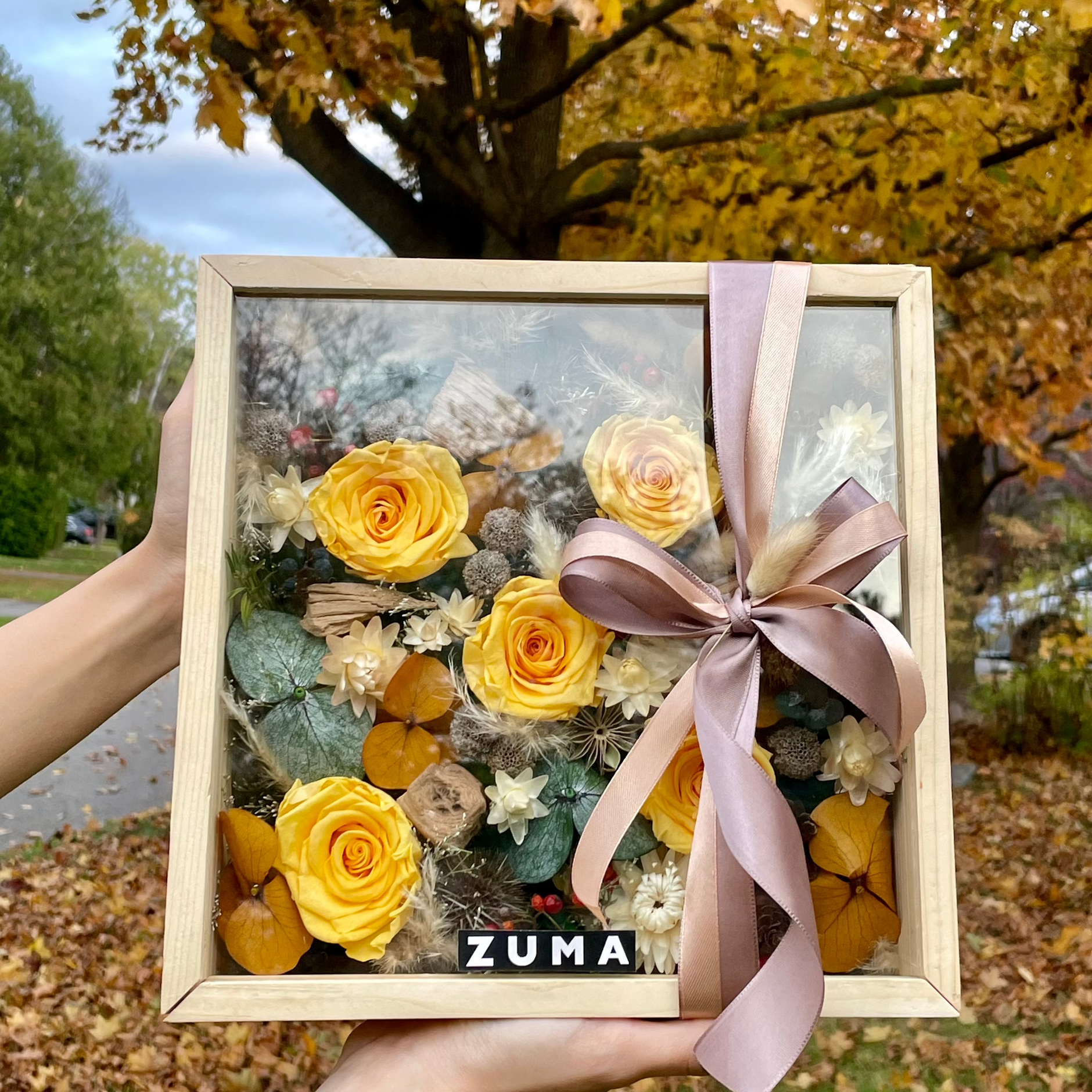 Fall – ZUMA Flower