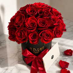 Premium Hot Roses