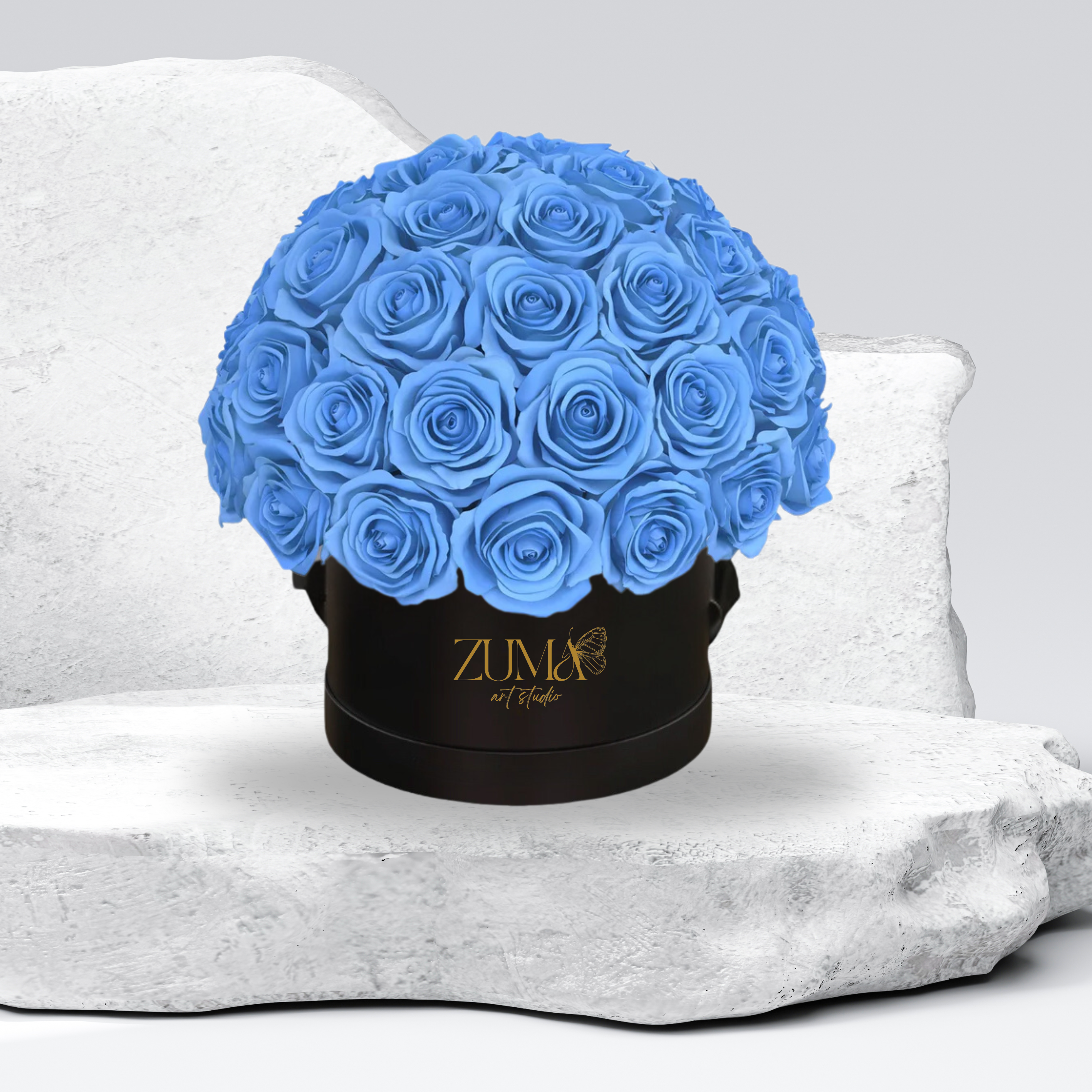 Sonic Eternal Roses-Last 3 Years